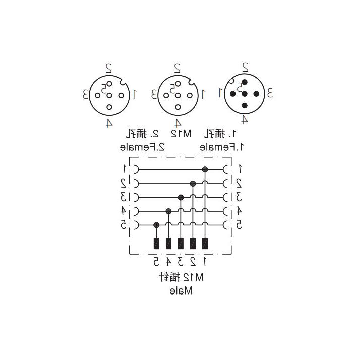 M12 5Pin公/2M12 5Pin母，y型连接器，645551